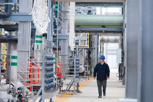 海上新山東丨科技興海，做好蔚藍新文章——鉆采工程技術服務篇