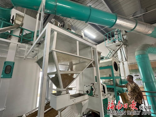 科技興農繪出錢糧雙豐收——陵水遠景村機械化服務產業注入農業現代化新活力